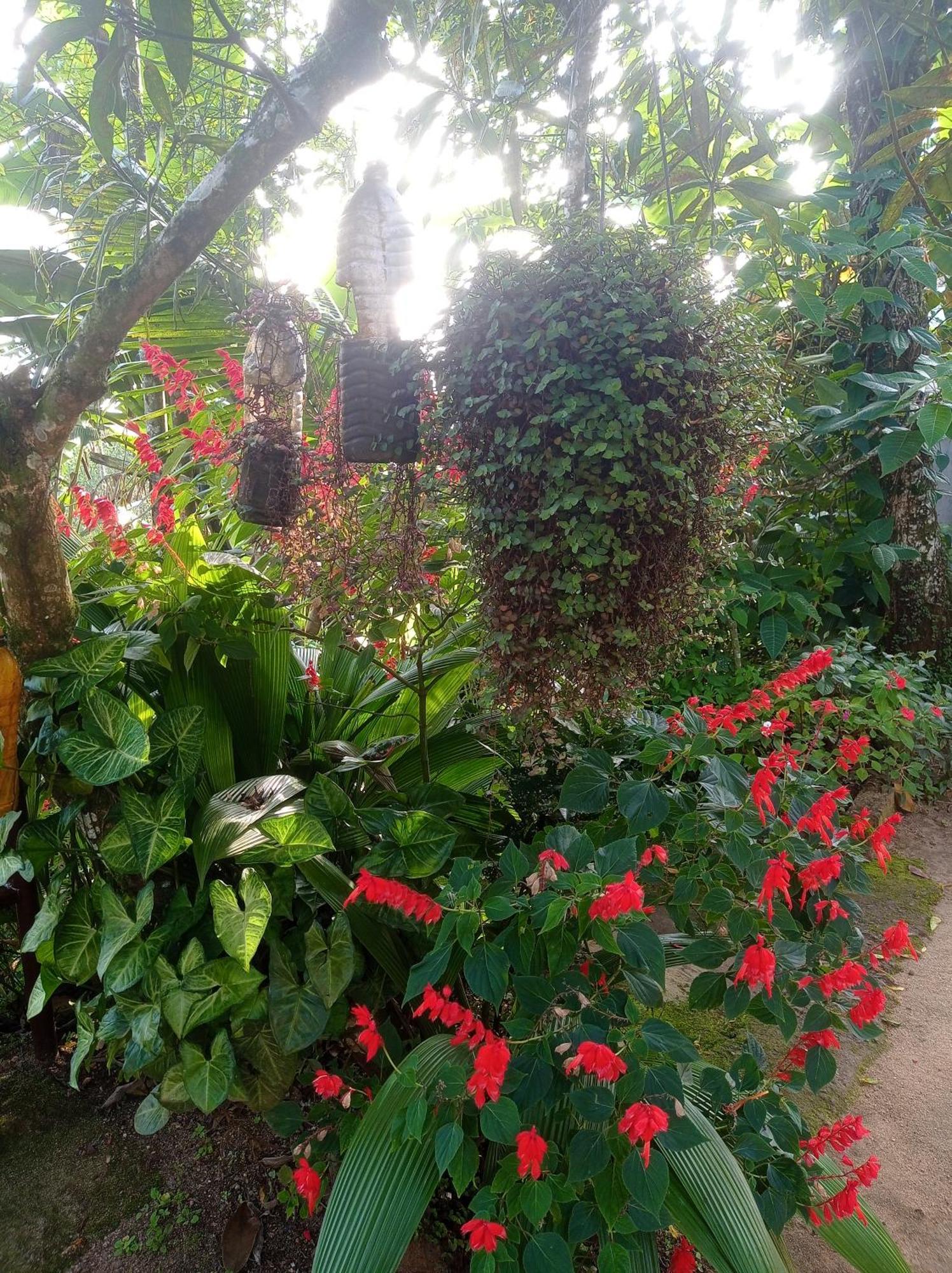 Munnar Home Stay Teadrops Plantation Villa Exterior foto