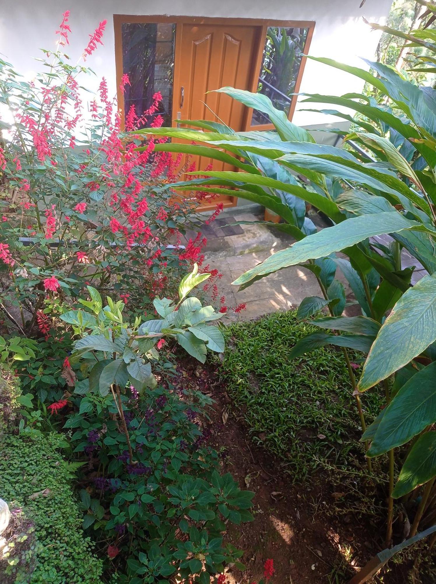 Munnar Home Stay Teadrops Plantation Villa Exterior foto